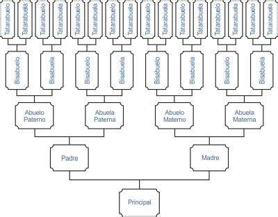 mis antepasados según mi apellido gratis|Genealogía: busque sus antepasados, publique su。